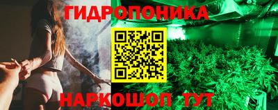 мдпв Партизанск