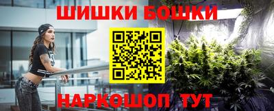 мдпв Партизанск